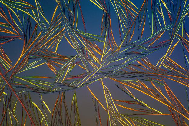 Salicylsäure Mikrokristalle in polarisiertem Licht. Mikroskopaufnahme, Vergrößerung ca. 50-100X.