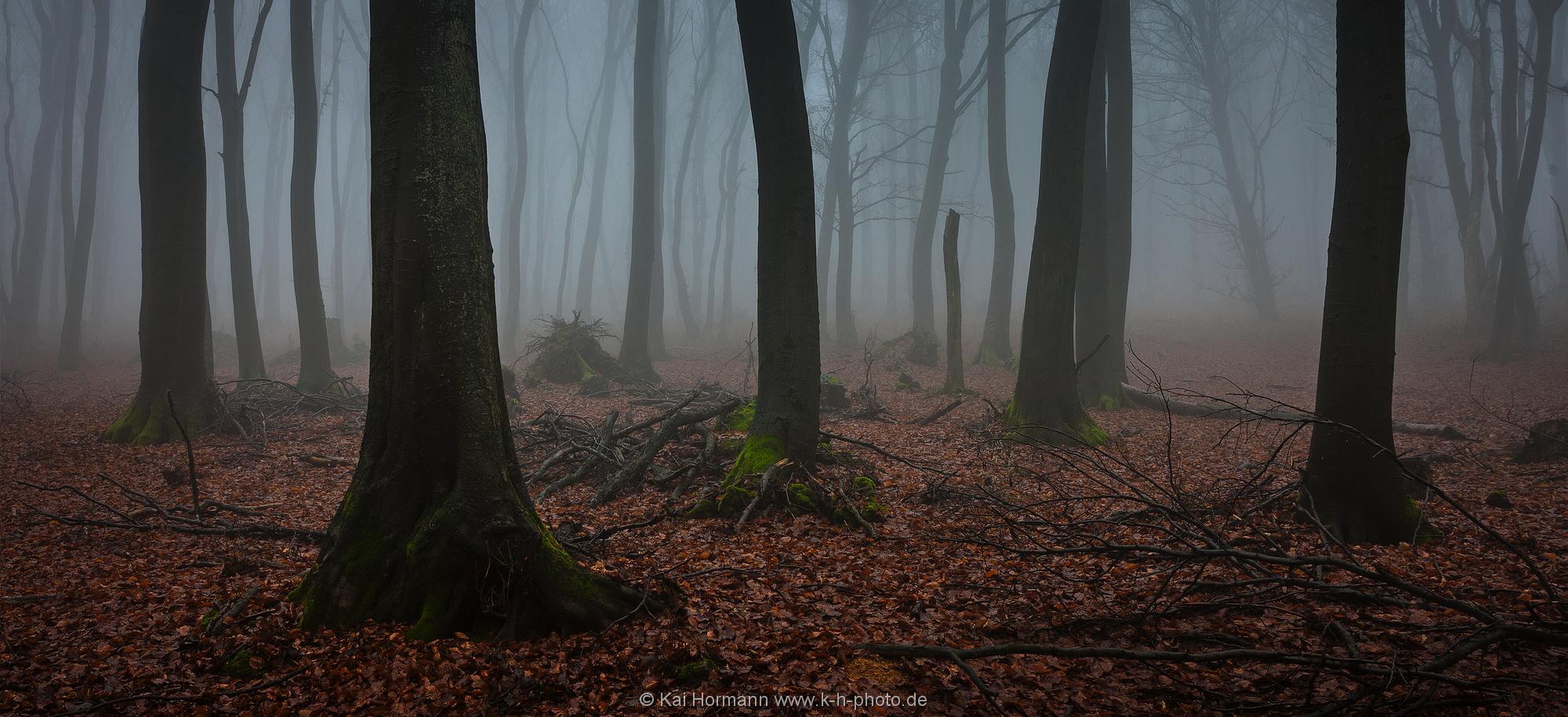 Landschaftspanorama Das nebelverhangene Wiehengebirge im Dezember 2012.