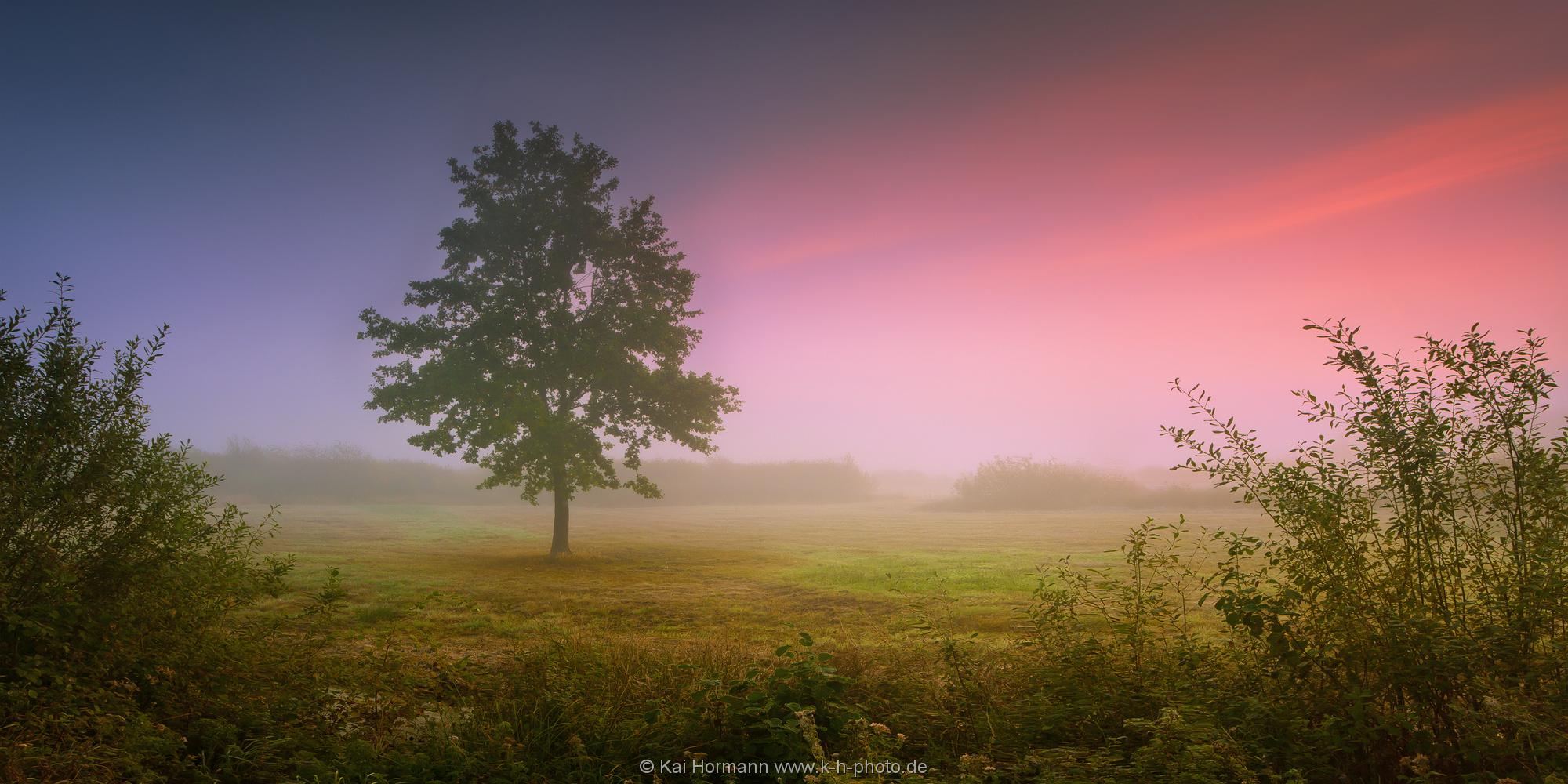 Landschaftspanorama Morgendämmerung