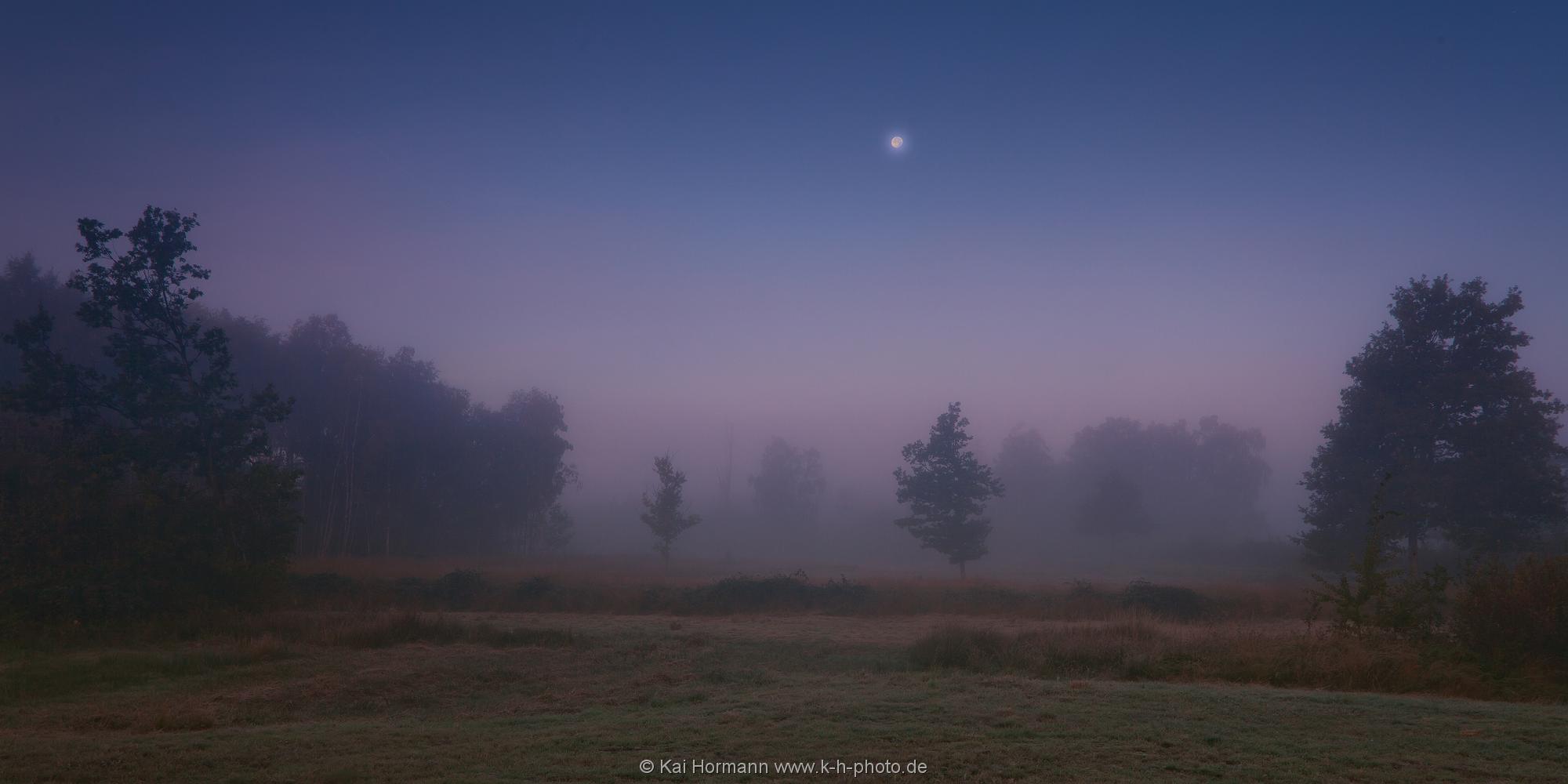 Landschaftspanorama Mond im Morgennebel