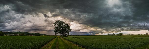 Juni-Regen 2026